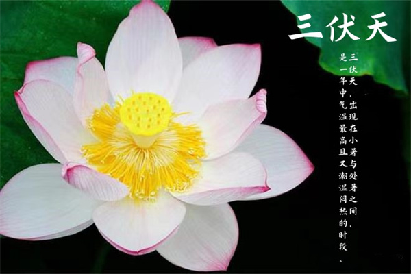 1690192121719465.jpg 2_副本.jpg