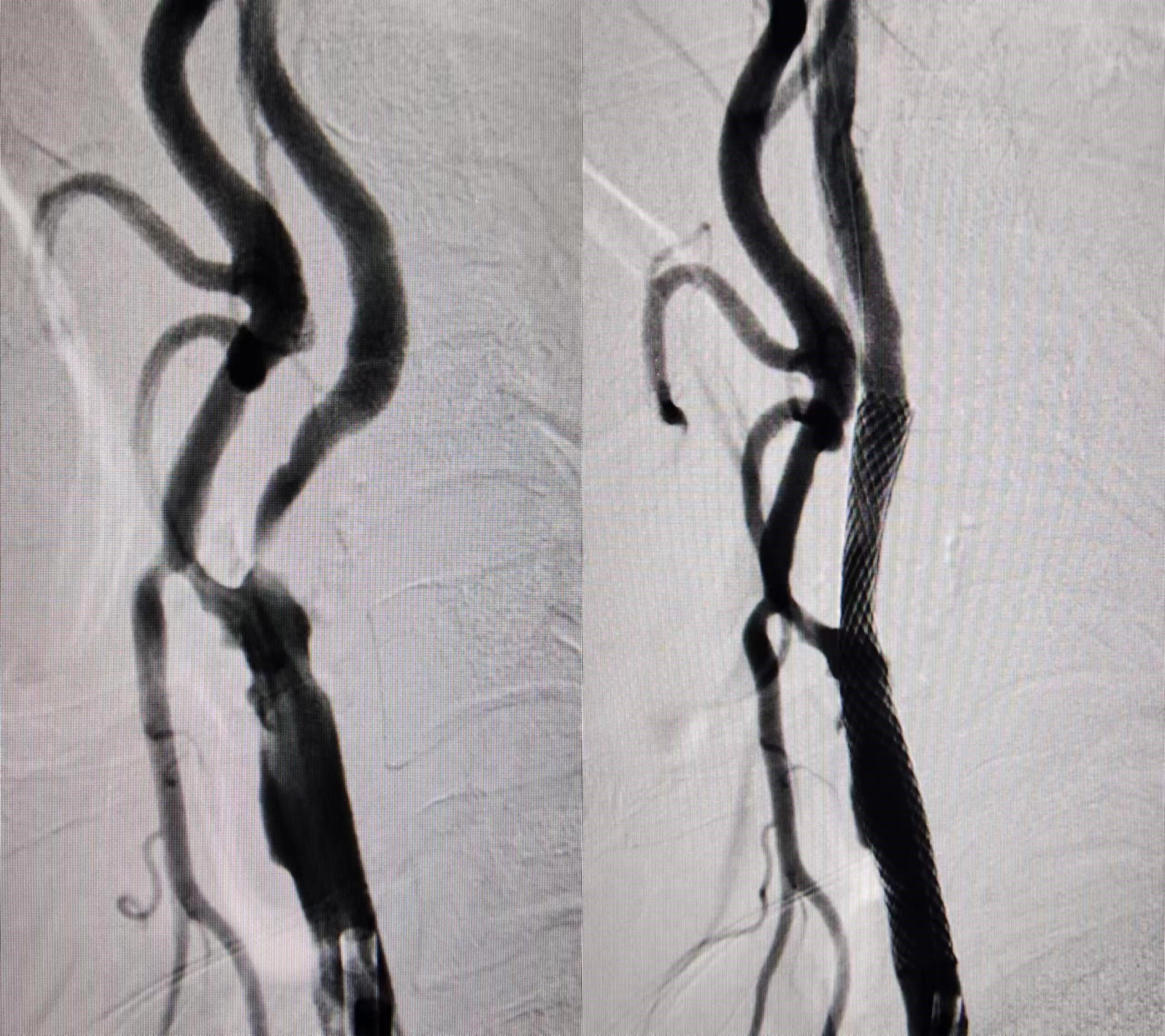 1691465381677192.jpg 1691465381677192.jpg