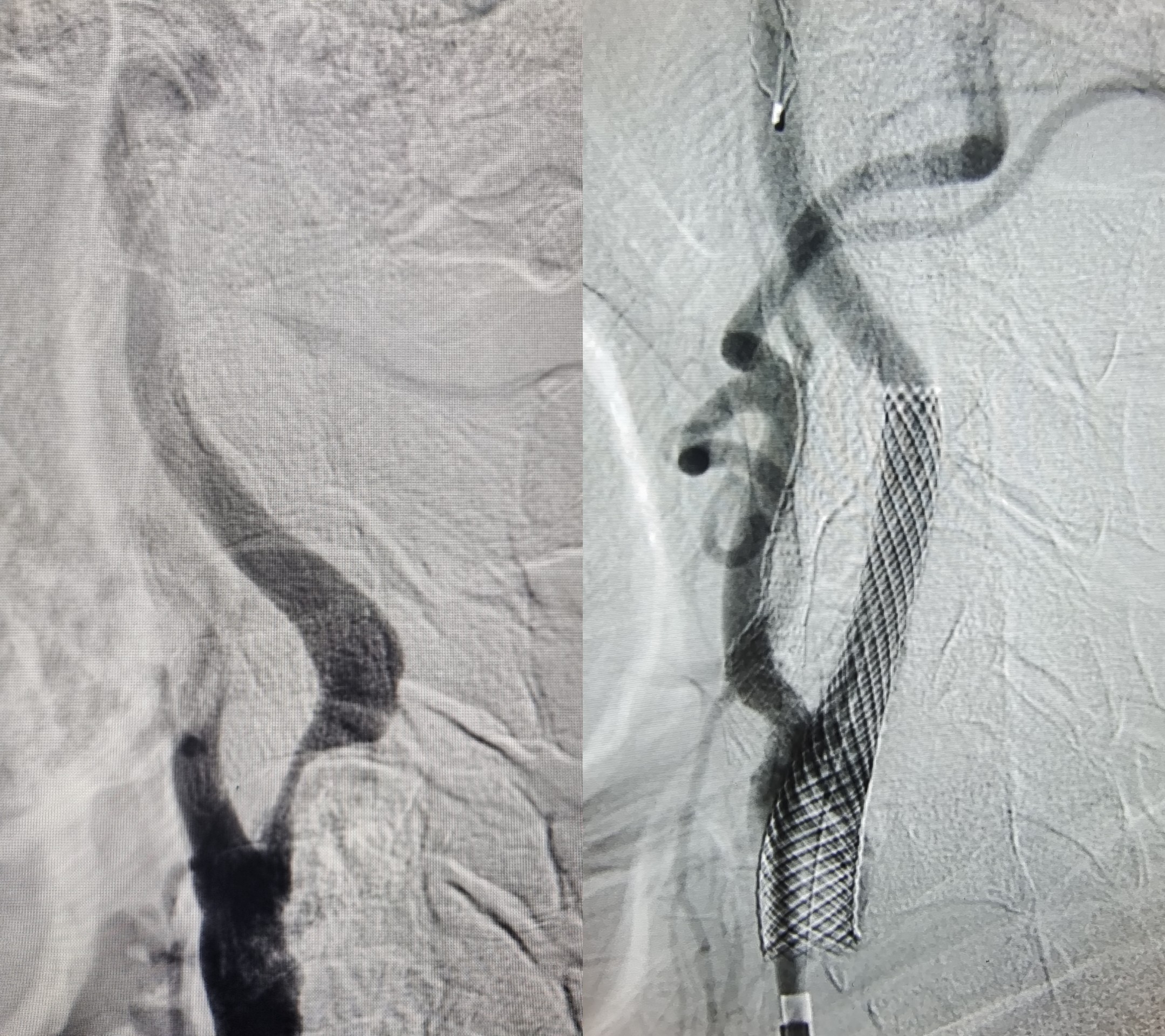 1691465418231761.jpg 1691465418231761.jpg