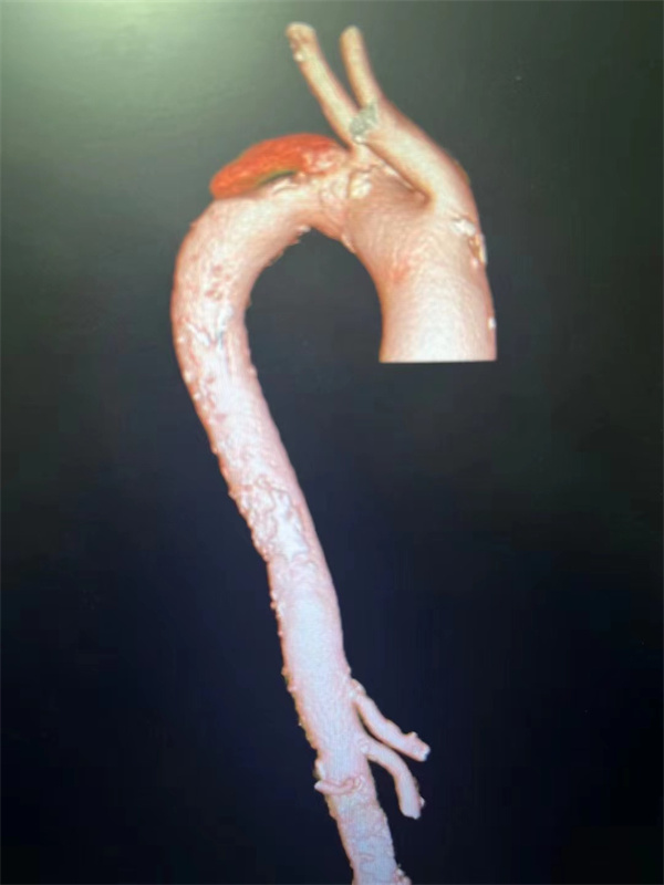 1691712541709928.jpg 微信图片_20230811080409.jpg