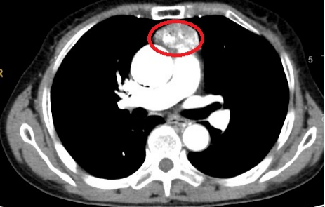 1695086550310732.png 640.png