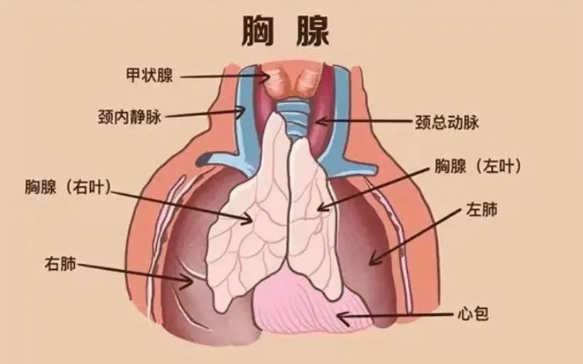 1695086754368725.jpg 1695086754368725.jpg