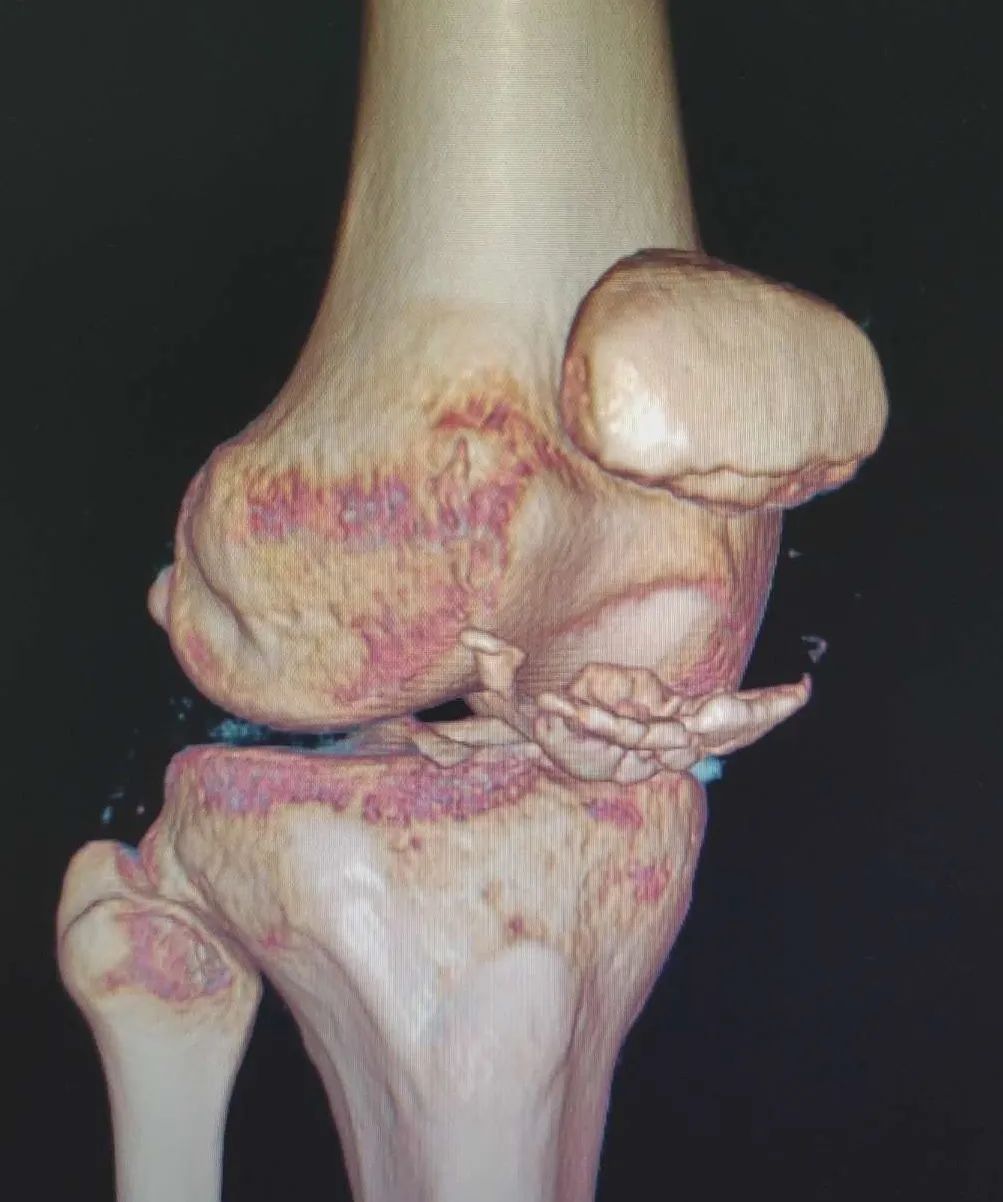 1701240273117087.jpg 1701240273117087.jpg