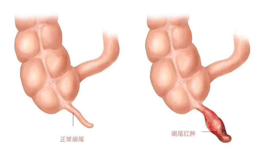 1701824054410839.jpg 640.jpg