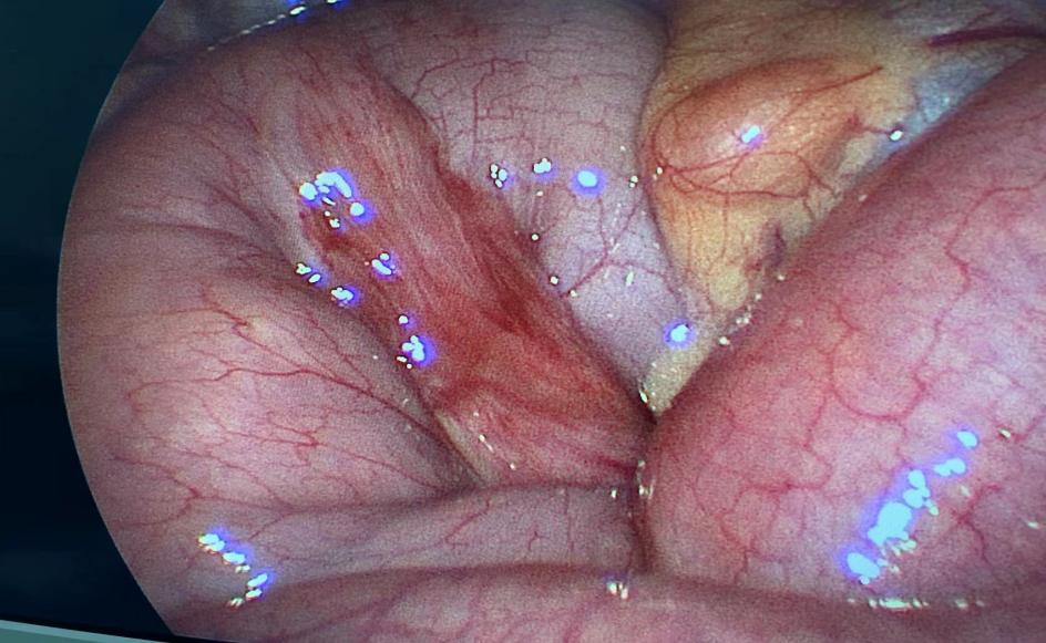 1703557853392370.png 1703557853392370.png