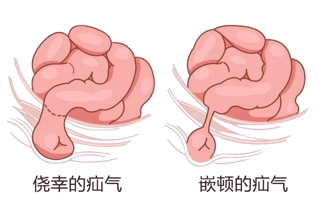 1703558044782420.png 640 (1).png