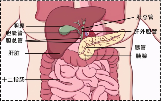 1704330465656996.png 640.png