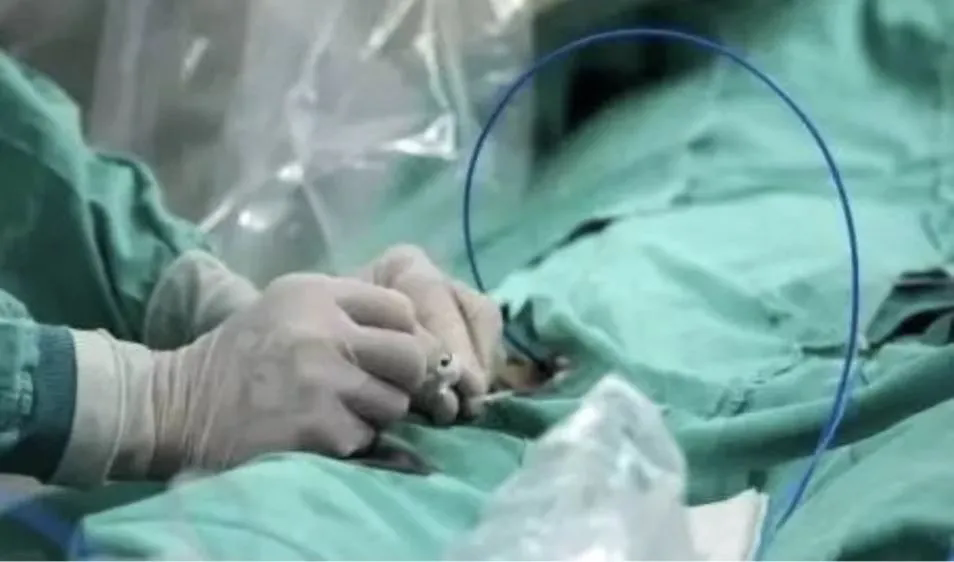 1715646035671885.png 1715646035671885.png