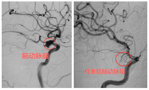 微信图片_20220804121536.png