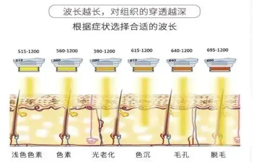 1717459378121622.png 640.webp (1).png