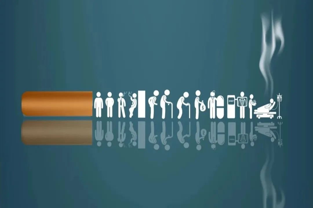 1748920526324005.jpg 640.jpg