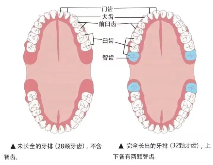 1757580167695870.jpg 640 (1).jpg