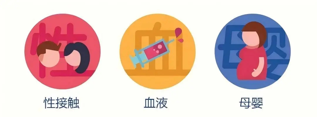 1764547770206092.jpg 640.webp (2).jpg