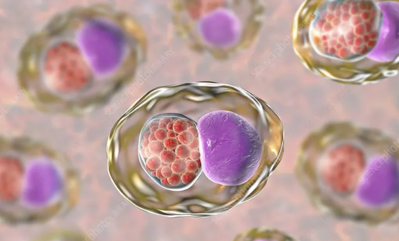 1764547833832458.png 640.png